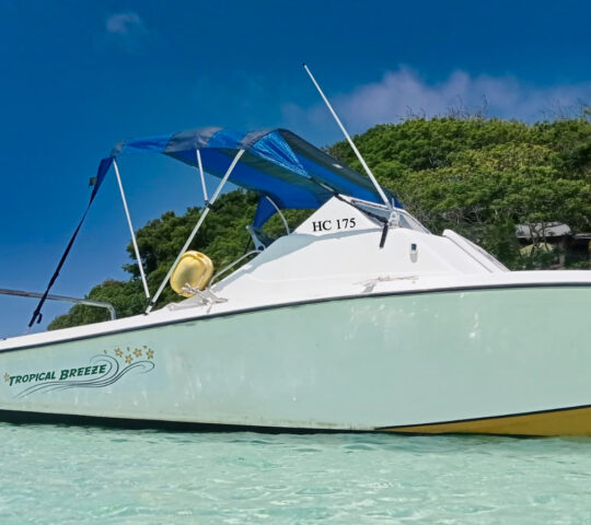 Tropical Paradise Boat Charter